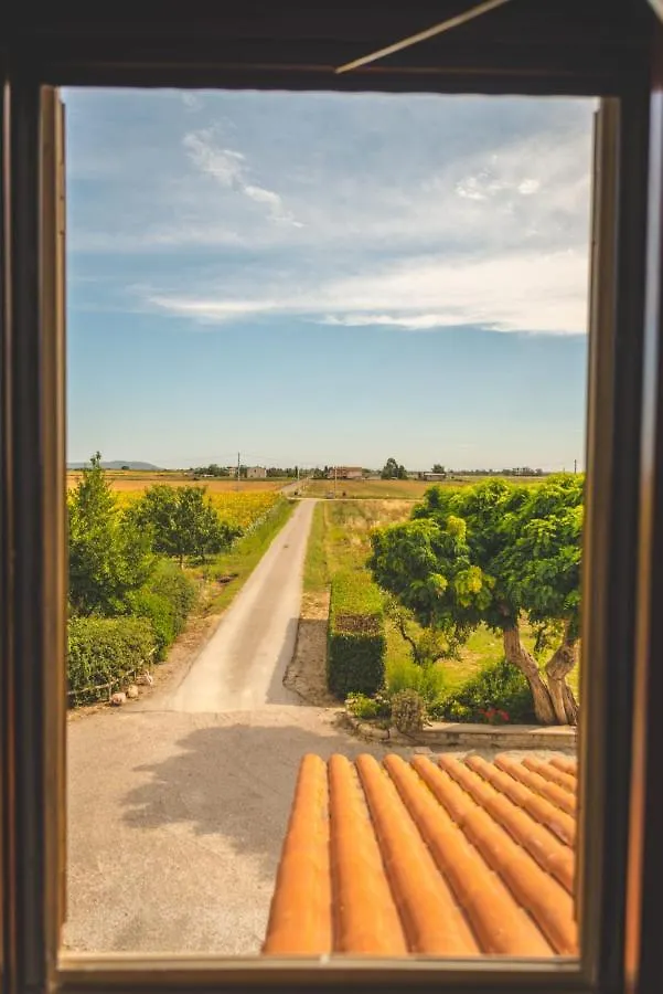 Farm stay Agriturismo Corte Degli Angeli Marina di Grosseto