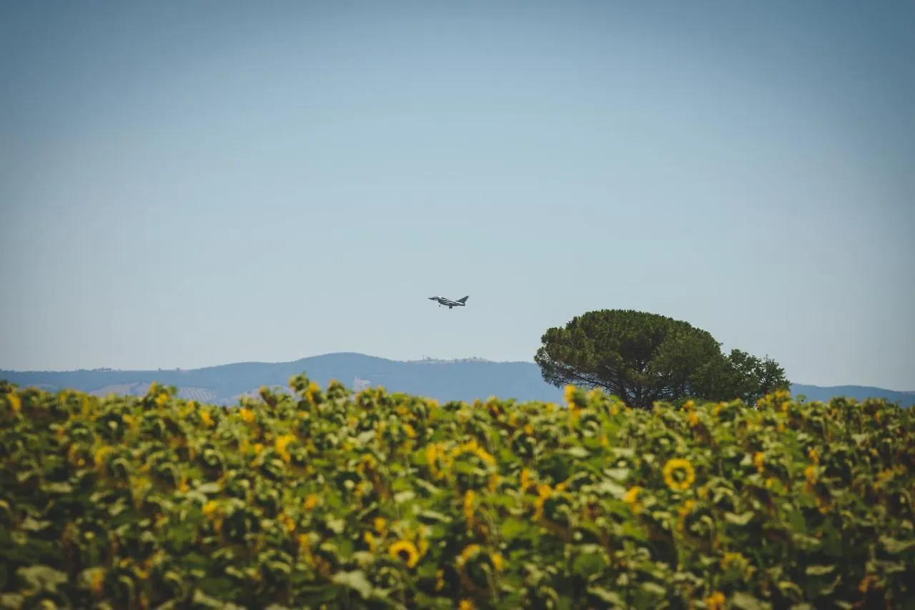 Agriturismo Corte Degli Angeli Marina di Grosseto 0*,