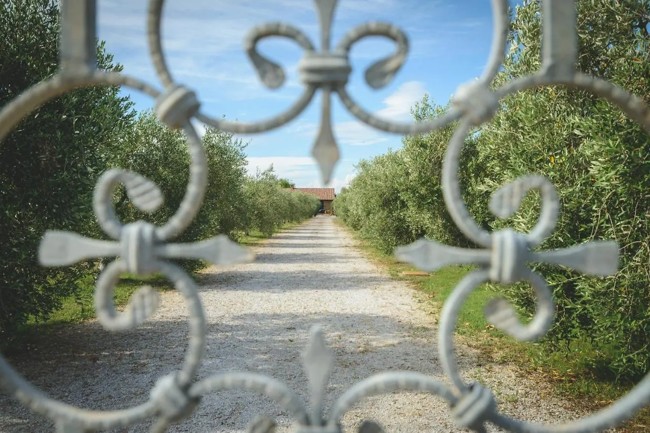 Agriturismo Corte Degli Angeli Marina di Grosseto