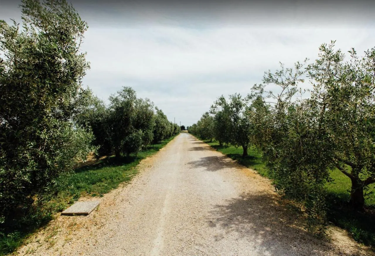 Agriturismo Corte Degli Angeli Marina di Grosseto
