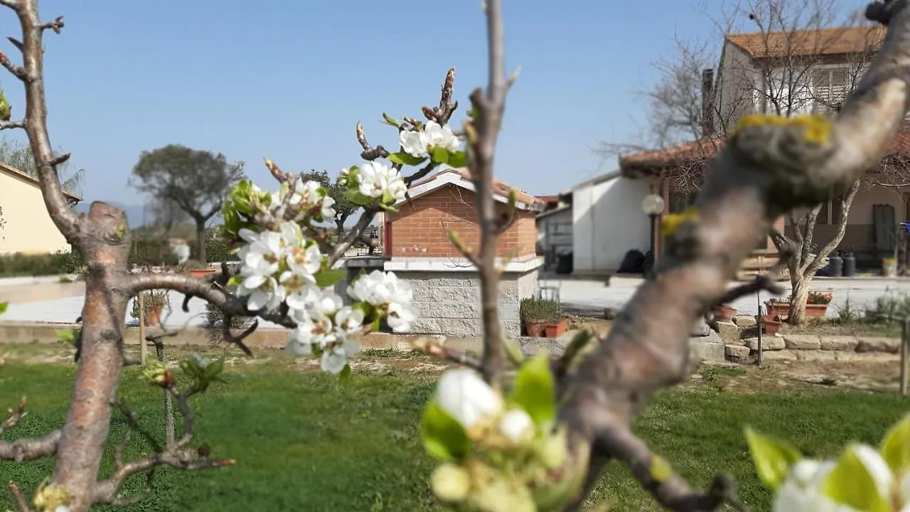 Farm stay Agriturismo Corte Degli Angeli Marina di Grosseto
