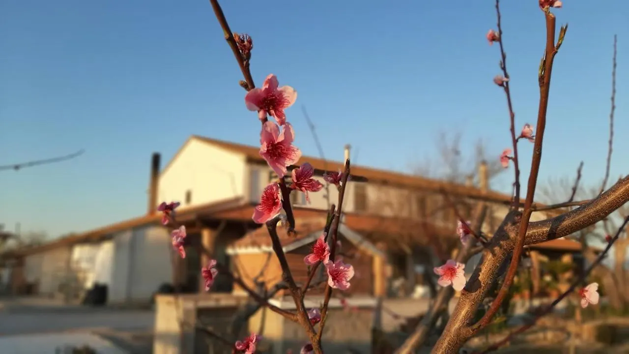 Agriturismo Corte Degli Angeli Marina di Grosseto Farm stay