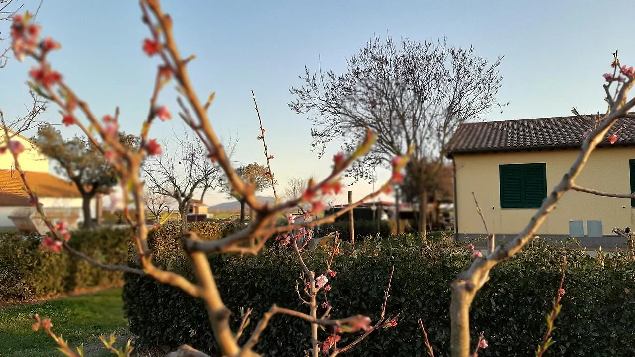 Agriturismo Corte Degli Angeli Marina di Grosseto