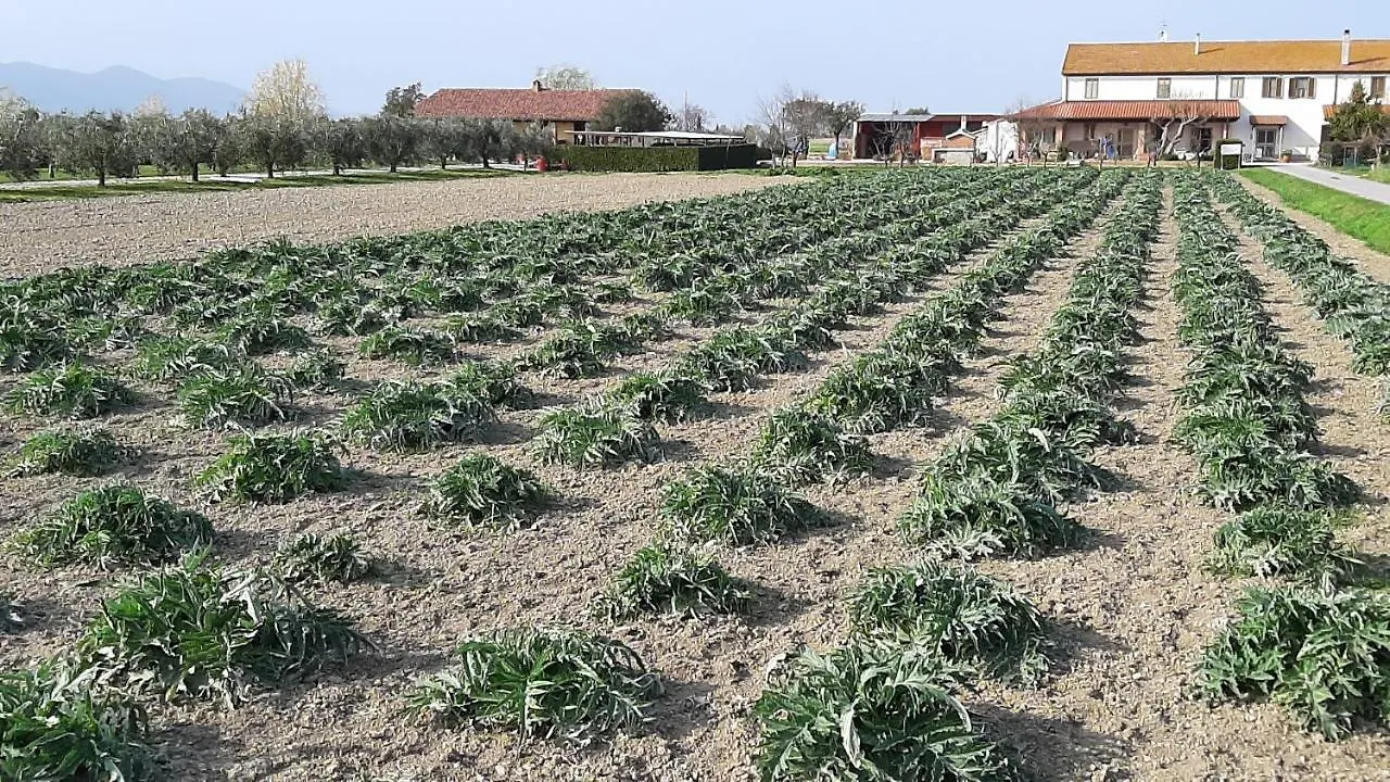 Agriturismo Corte Degli Angeli Marina di Grosseto Farm stay