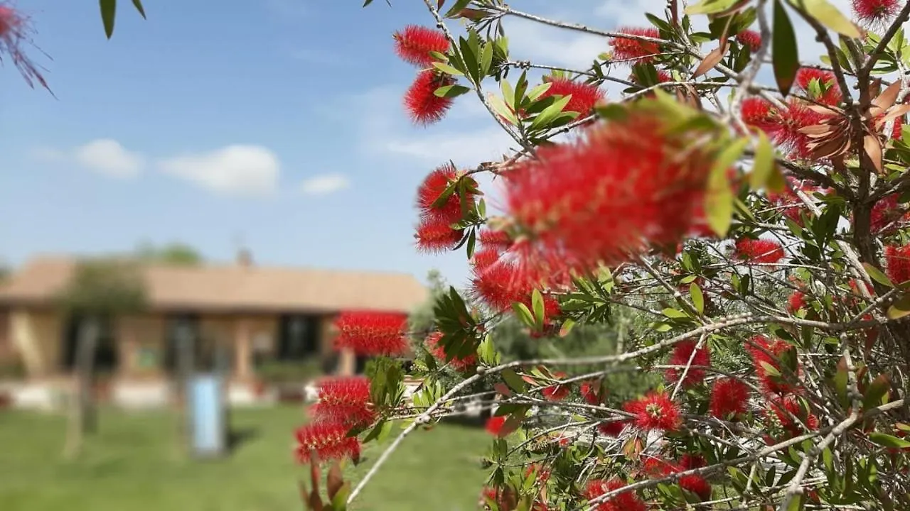 Agriturismo Corte Degli Angeli Marina di Grosseto 0*,