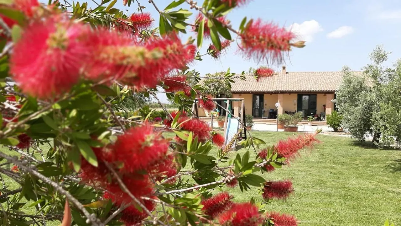 Agriturismo Corte Degli Angeli Marina di Grosseto Italy