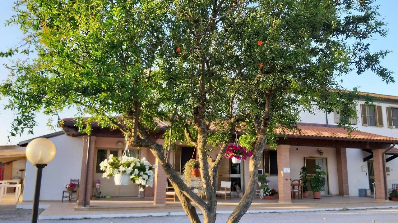 Agriturismo Corte Degli Angeli Marina di Grosseto Farm stay